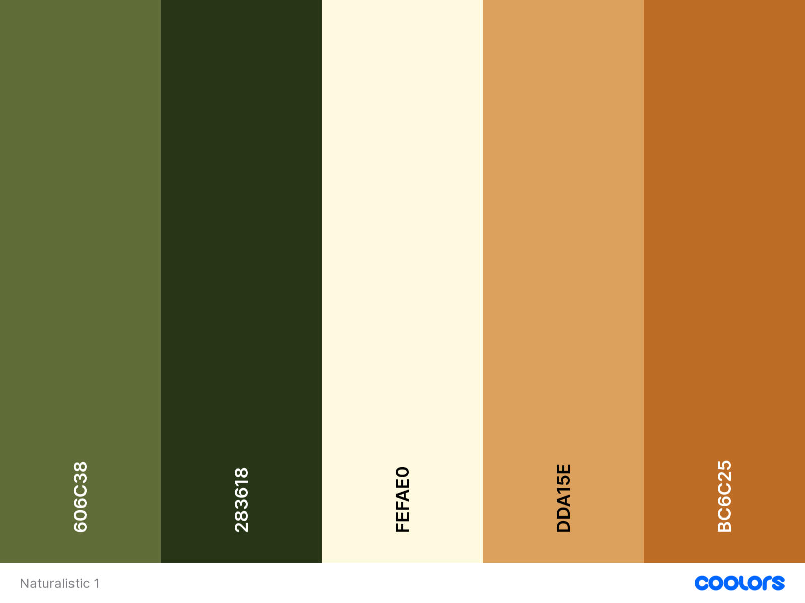 Color palette for TLC artwork